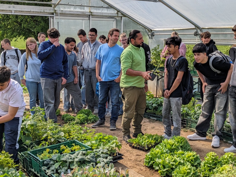 PXL 20250520 083622770