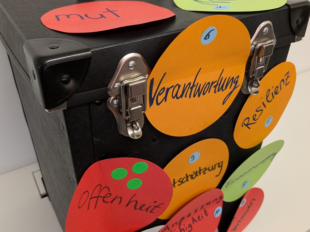 PXL 20251113 153810190