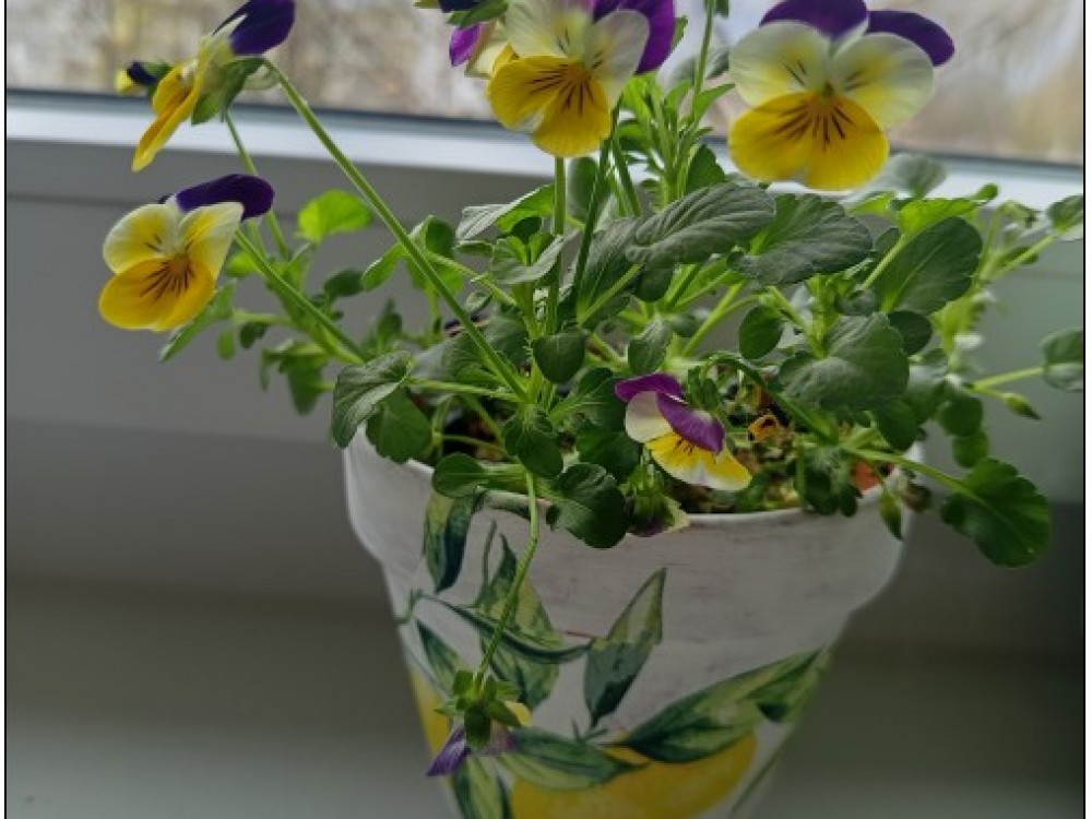 Screenshot 2026 03 30 142130